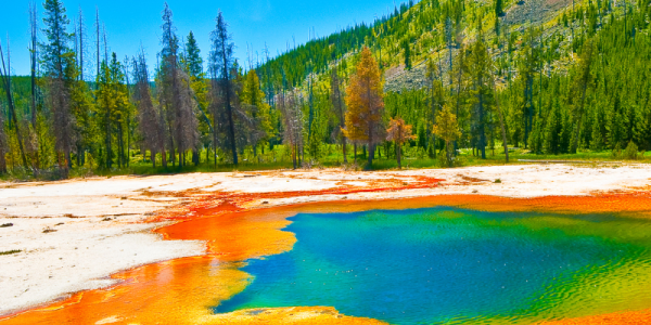 Yellowstone