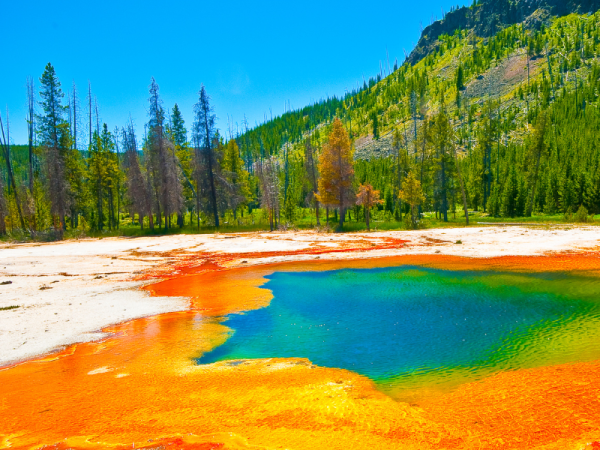 Yellowstone Nationalpark